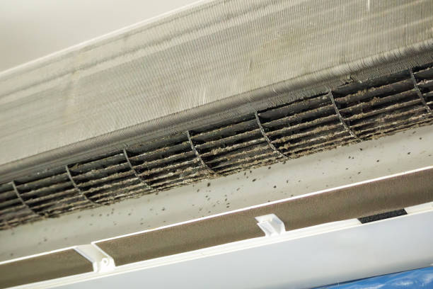 Best Ventilation System Cleaning in Brentwood, CA